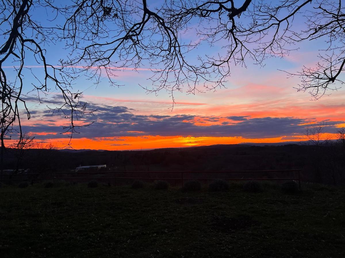 Il Tramonto